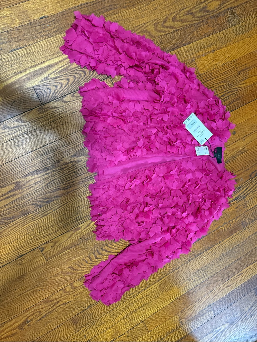 Zara Hot Pink Ruffle Blouse